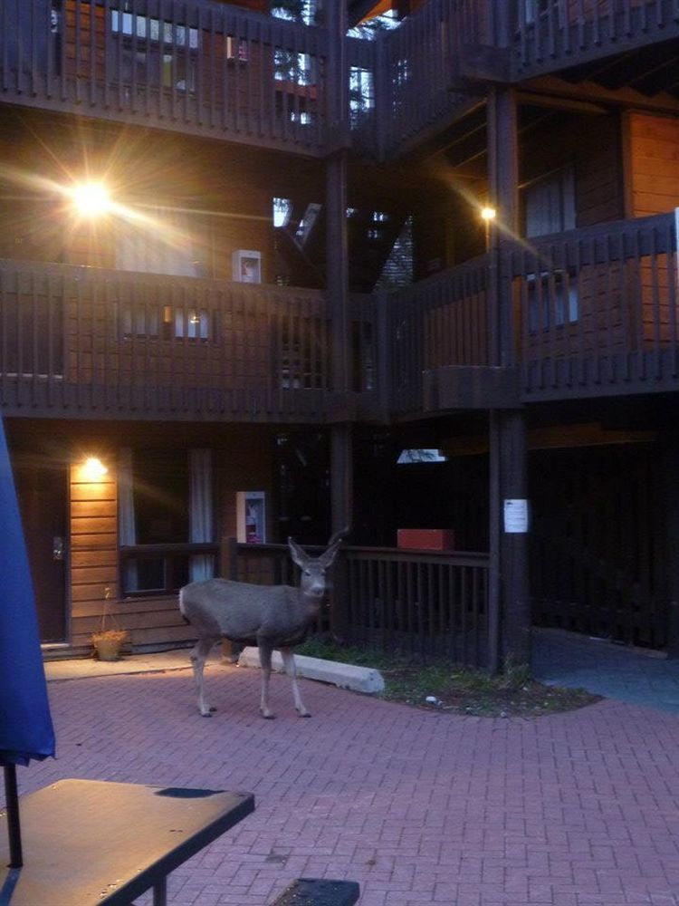 Banff International Hostel Exterior photo